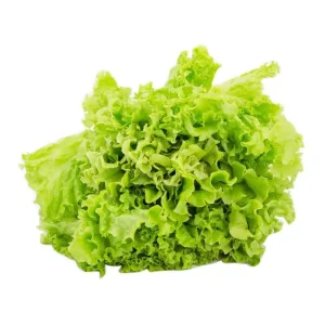 lechuga-criolla